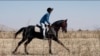 Kyrgyzstan's Fastest Horse Dominates Ancient Equestrian Race GRAB