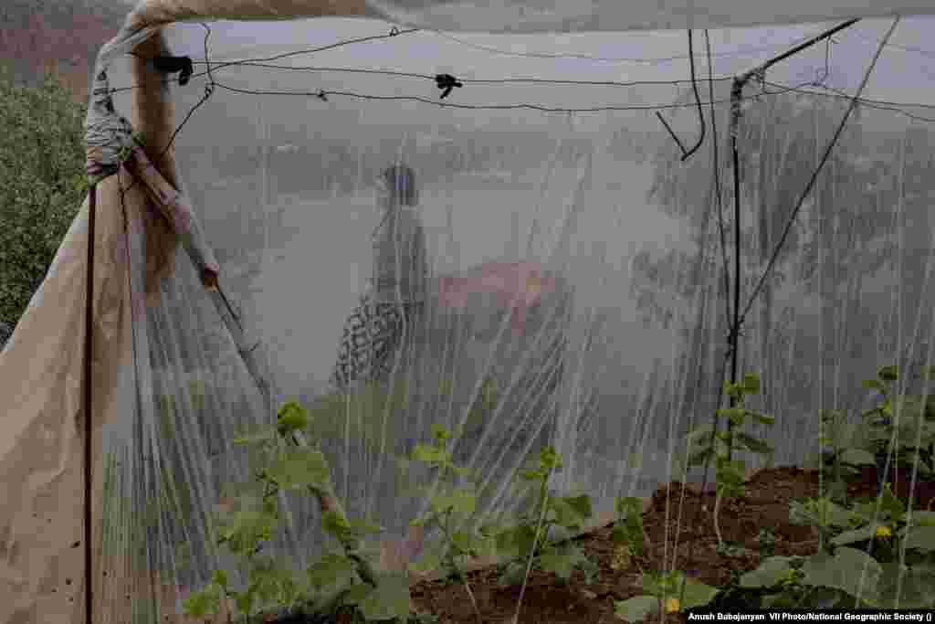 An inhabitant of the village of Istiqlol in Tajikistan rests beside her greenhouse on the River Vakhsh, a tributary of the Amu Darya, on March 23, 2022. She uses river water to irrigate her cucumbers. World Press Photo Long-Term Project Award: Battered Waters by&nbsp;Anush Babajanyan, VII Photo/National Geographic Society &nbsp;