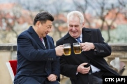 Czech President Milos Zeman (right) drinks beer with Chinese leader Xi Jinping during a 2016 state visit to Prague.