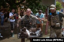 A rescue team evacuates cats from the flooded part of Kherson.