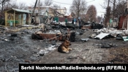 A bus stop photographed among devastation on Vokzalna Street on March 1, 2022