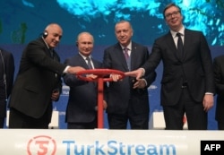 (Left to right) Then-Bulgarian Prime Minister Boyko Borisov, Russian President Vladimir Putin, Turkish President Recep Tayyip Erdogan, and Serbian President Aleksandar Vucic attend an inauguration ceremony of the TurkStream gas pipeline on January 8, 2020, in Istanbul.