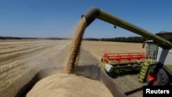 A combine harvester loads a truck with barley in a field near the village of Zhovtneve, Ukraine.