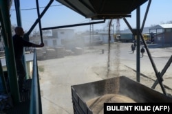 A truck is loaded with wheat near Izmayil.