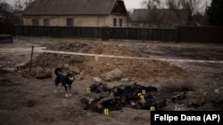 A dog stands next to six charred bodies lying on the ground in a residential area of Bucha, on the outskirts of Kyiv, on April 5, as evidence mounts that Russian soldiers may have committed war crimes in Ukraine. 