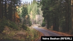 The small, winding road leading to the chateau and hunting lodge where Babrak Karmal was hidden.