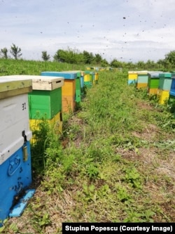 There are more than 2 million officially registered beehives in Romania.