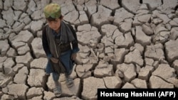 A child walks over parched land in the Bala Murghab district of Badghis Province on October 15. 