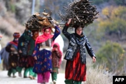 Afghan women carry firewood on their heads in Dara-i Noor district of Nangarhar Province. (file photo)