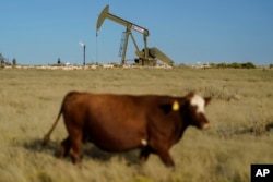 Agriculture and the oil and gas industry are key sources of methane emissions. (file photo)