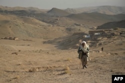 Fields have withered from the ongoing drought in Badghis Province, among many other parts of Afghanistan.