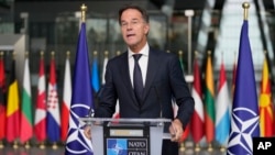 NATO Secretary-General Mark Rutte was chosen in part because of a near-mythical belief in Brussels that he is something of a "Trump-whisperer" who developed a good relationship with the American during his first administration.