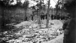 Bodies of Polish soldiers shot at Katyn in 1940.