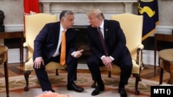 Then-U.S. President Donald Trump (right) and Orban hold a meeting at the White House in May 2019.