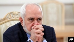 Iranian Vice President for Strategic Affairs Mohammad Javad Zarif (file photo)