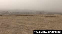 At least one of the plots allocated was land where farmers grow wheat, even though Tajik law bans officials from distributing agricultural land for residential use.