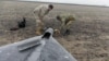 Members of a police demining unit remove a warhead from a Russian kamikaze drone in Ukraine. (file photo)