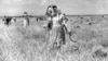 Women harvesting wheat in Bulgaria’s Svetovrachene village in 1955