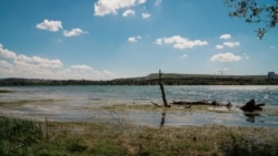 Симферопольское водохранилище в мае 2019 года