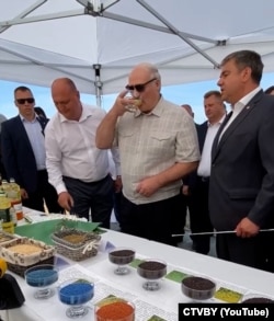 Alyaksandr Lukashenko tastes rapeseed oil for the state television cameras.