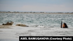 Baimuqanova often spends hours motionless near the seals to record their behavior unnoticed.