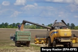 A combine harvester loads a truck with freshly processed wheat near Kharkiv on July 30.