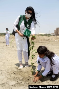 Women plant saplings in Hyderabad in August 2021.