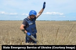 A sapper checks a wheat field in the Chernihiv region for explosives on July 29.