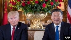 U.S. President Donald Trump sits with Chinese leader Xi Jinping during a bilateral meeting at Trump's Mar-a-Lago estate in Florida in 2017.