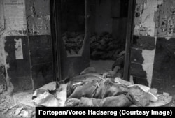 The bodies of Jews killed in a Budapest building.