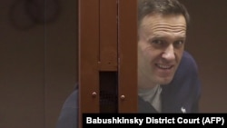 Aleksei Navalny inside a glass cell during a court hearing in Moscow on February 12. "We have to all understand that [he] is now not just a political figure for us but a political prisoner who was illegally tried and imprisoned," says Aleksei Shitov, head of Yabloko's youth wing in Novosibirsk.