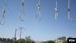 Nooses are prepared ahead of a public hanging in Iran, which is one of the world's leading executioners. (file photo)