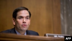 U.S. Senator. Marco Rubio (file photo)