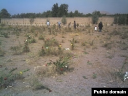 Iran's Khavaran cemetery is a mass grave site for political prisoners killed in a spate of executions in 1988. (file photo)