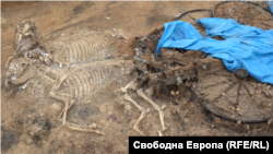 The Karanovo chariot on May 28. The tarpaulin offers some protection from the rain that dribbles through the decaying shelter built over the site.