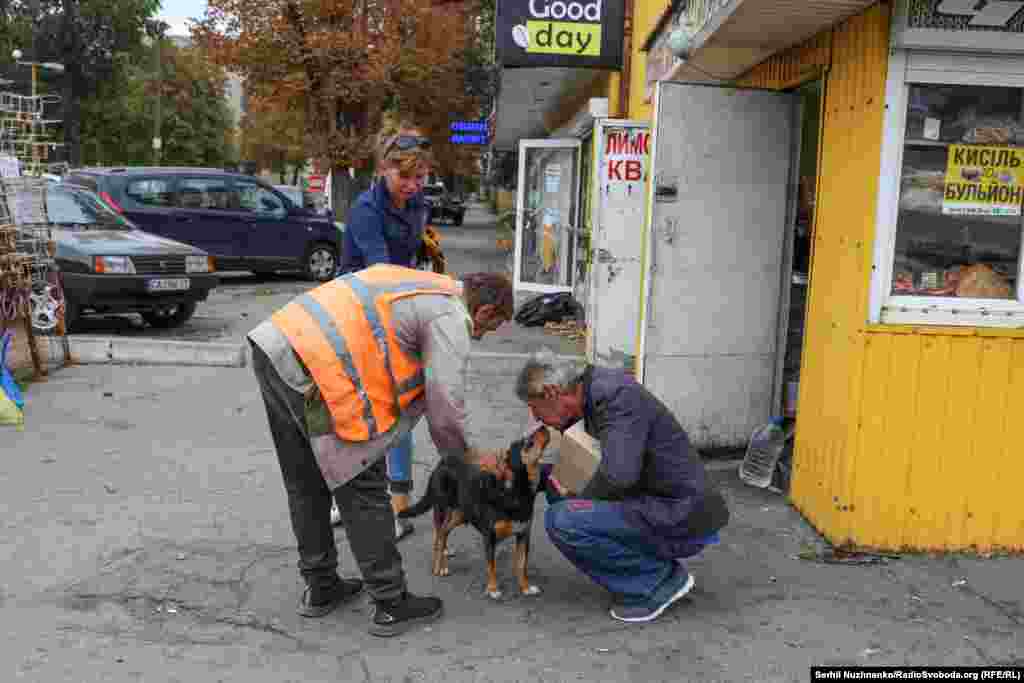 Near the railway station, a man with a package from the Red Cross pets a stray dog.