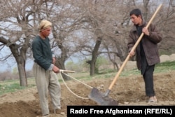 A record drought had already damaged prospects for Afghan farmers in 2021 even before the Taliban takeover.