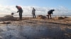 Volunteers help to clean up beaches after a massive oil spill in Russia's Krasnodar region.