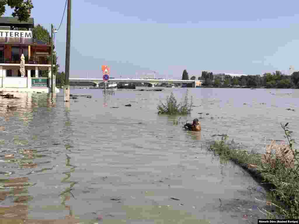 A duck floats through floodwaters in Budapest&#39;s Obuda district on September 18. Prime Minister Viktor Orban has called this flood wave one of the most significant challenges Hungary has faced.