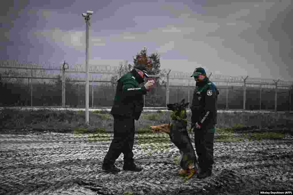 Bulgarian border police officers play with a dog as they patrol their country's frontier with Turkey. 