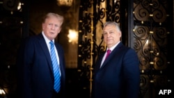 Hungarian Prime Minister Viktor Orban (right) and U.S. President-elect Donald Trump at Trump's estate in Mar-a-Lago in Palm Beach, Florida, in July.