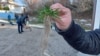 Activists remove grass that they believe was purposely planted on a beach in Rosenets Park in an effort to cement its status as "agricultural land."