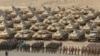 Russian, Kazakh, and Belarusian service members line up during military drills carried out by the Russia-led Collective Security Treaty Organization (CSTO) near Tajikistan's border with Afghanistan on October 23.
