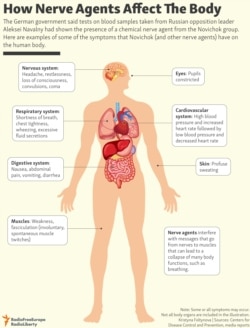 INFOGRAPHIC: How Nerve Agents Affect The Body