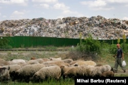 A garbage dump near Bucharest. (file photo)